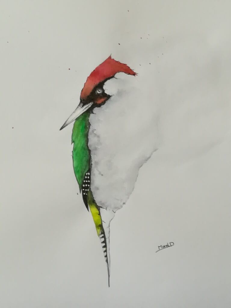 œuvre d'art, animalier, aquarelle sur papier, david morel artiste, pic vert