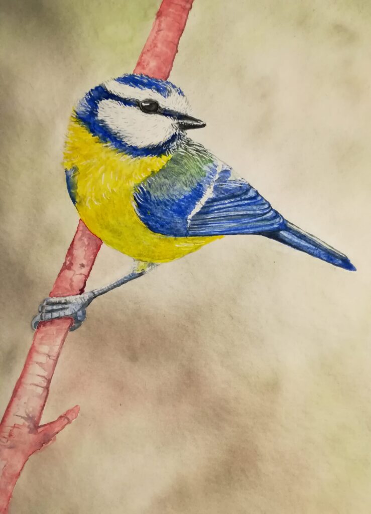 œuvre d'art, animalier, david morel artiste, mésange sur un branche