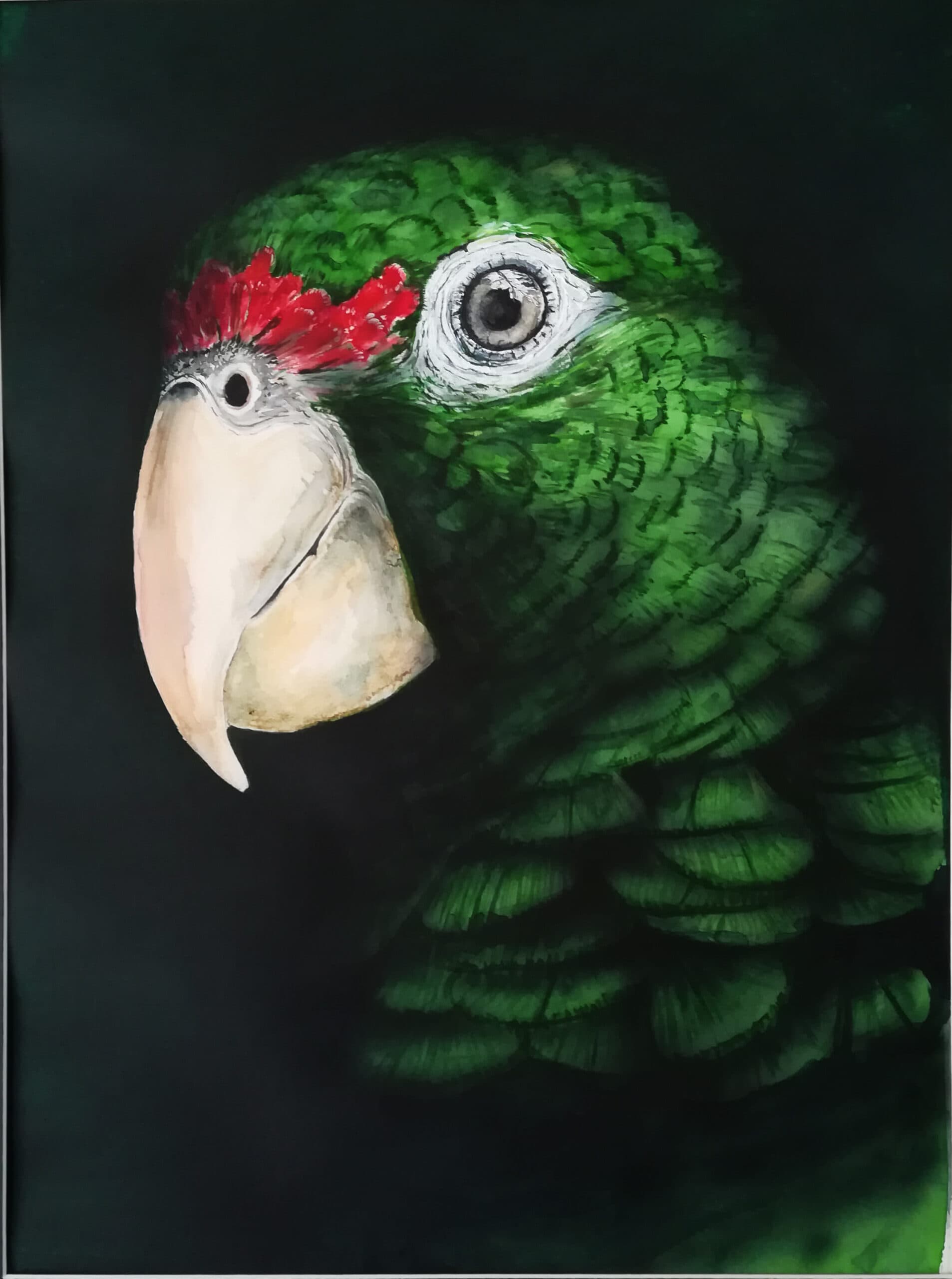 œuvre d'art, animalier, acrylique papier A3, david morel artiste, portrait d'oiseau vert sur fond noir