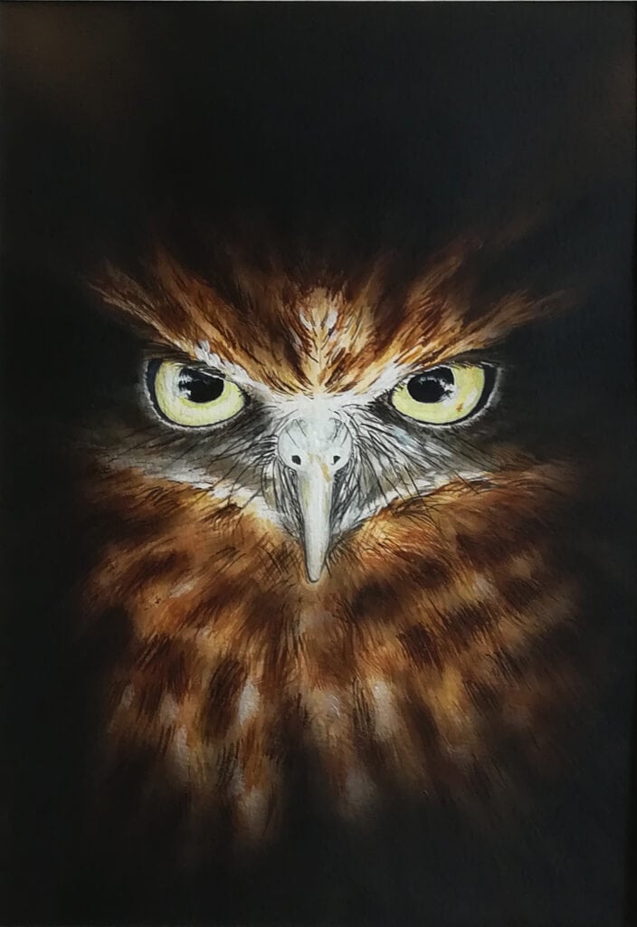 œuvre d'art, animalier, acrylique aquarelle A4, david morel artiste, portrait d'une chouette sur fond noir