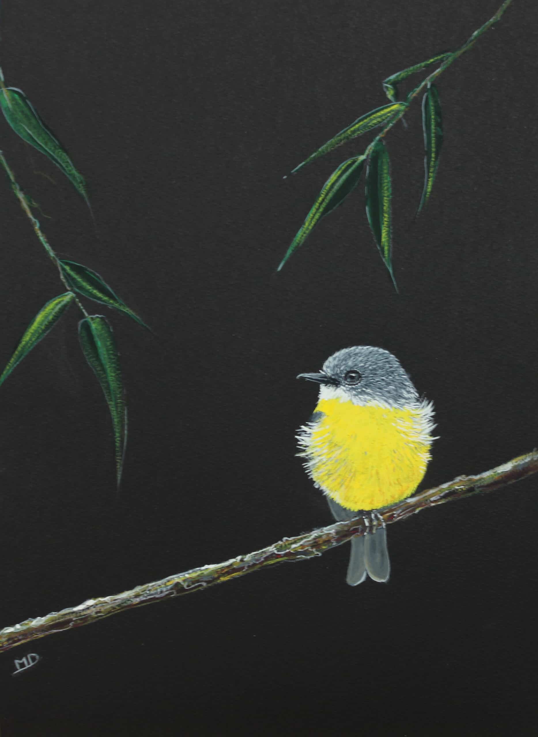 œuvre d'art, animalier, gouache sur papier A4, david morel artiste, oiseau jaune sur une branche sur fond noir