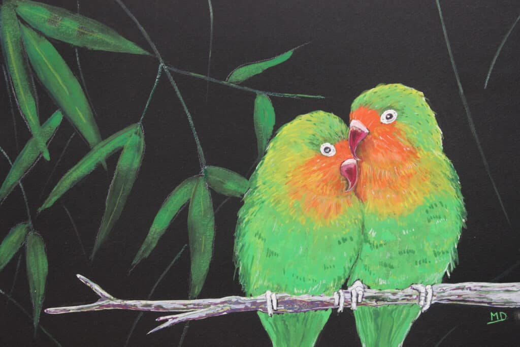 œuvre d'art, animalier, gouache sur papier A4, david morel artiste, couple d'oiseaux d'Inséparable sur fond noirInséparable