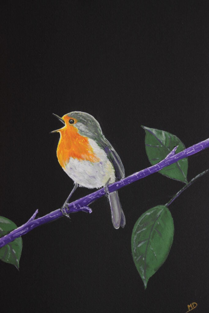 œuvre d'art, animalier, gouache sur papier A4, david morel artiste, rouge gorge sur une branche sur fond noir